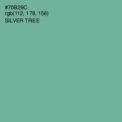 #70B29C - Silver Tree Color Image
